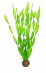 Superfish Easy Pflanze-Hintergrund 30cm
